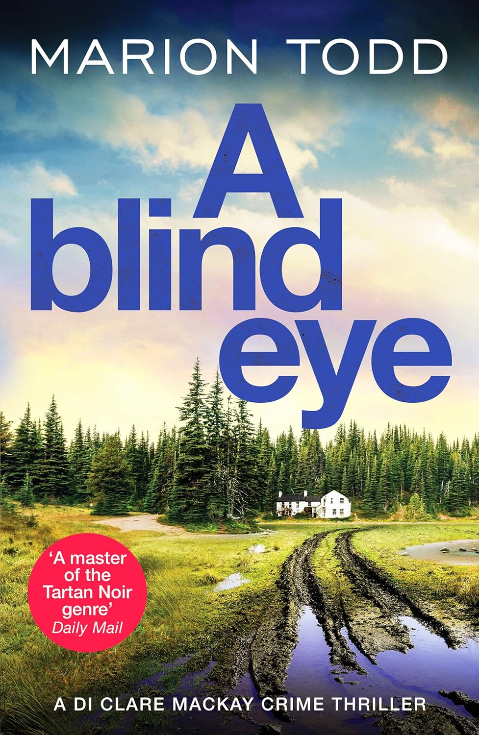 A Blind Eye: a Twisty and Gripping Detective Thriller