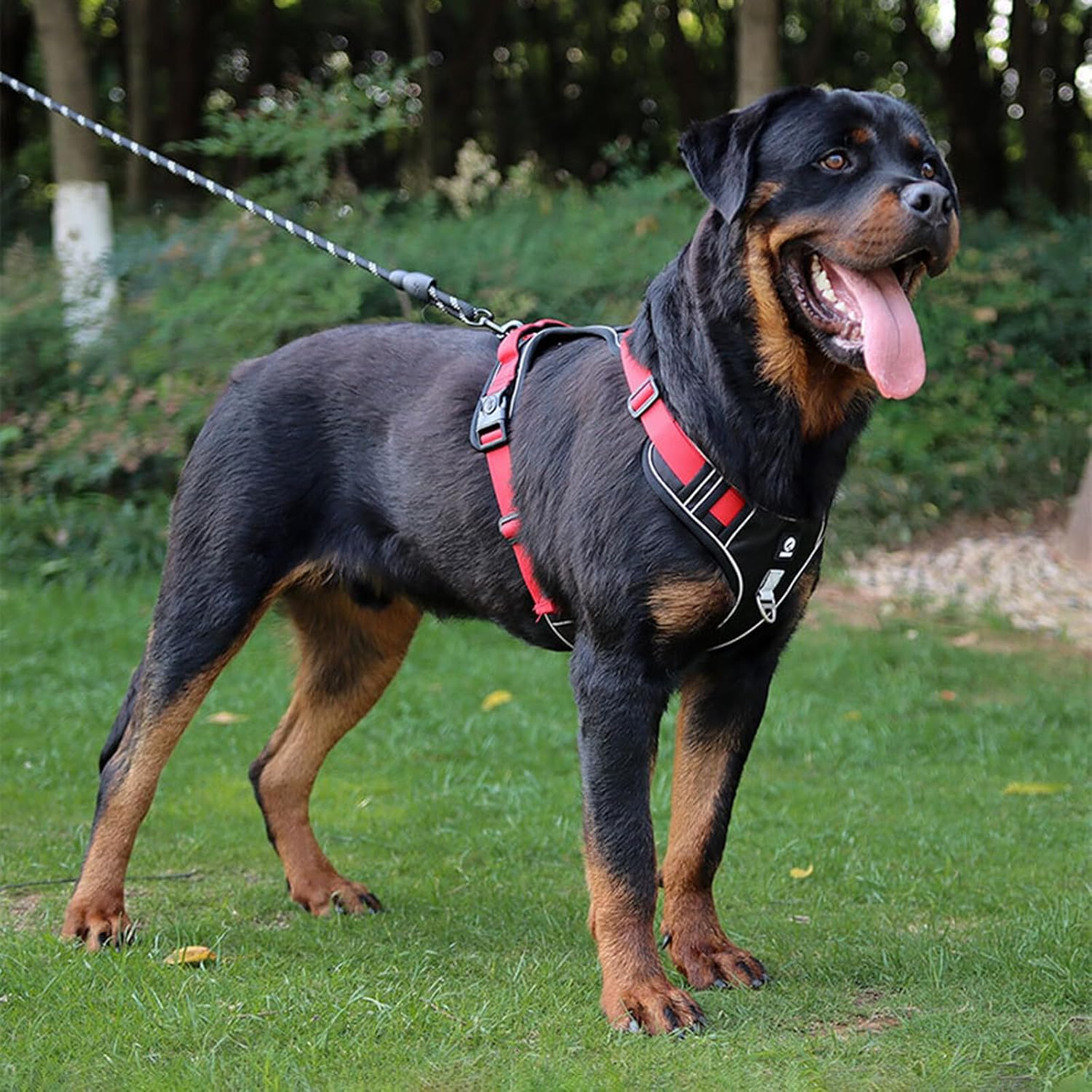 Esenlong No Pull Dog Harness with Leash and Handle Reflective Puppy Vest for Easy Control image number 3