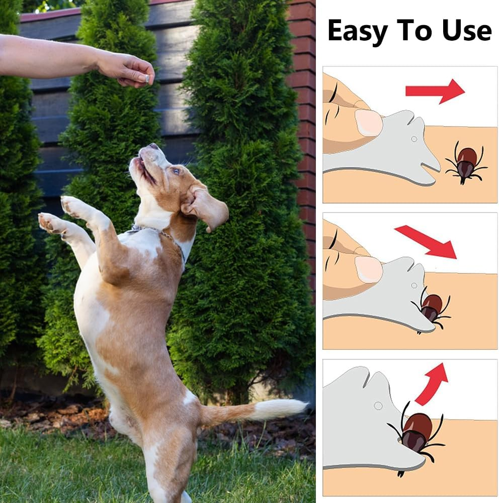 Tick Card with Magnifying Glass, Pack of 2 Tick Cards for Dogs, Cats, Tick Cards with Magnifying Glass, Compact and Portable, Easy to Use, Quick Cleaning of Ticks, Tick Cards for People, Children image number 4