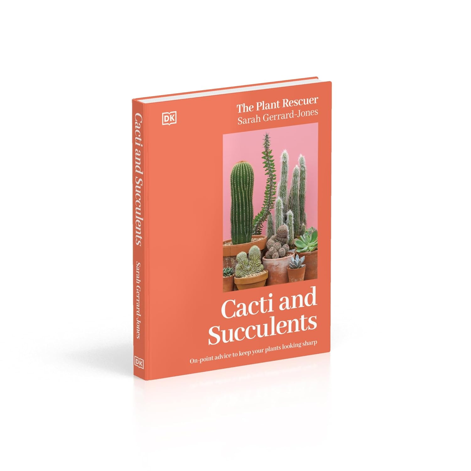 Cacti and Succulents: the Plant Rescuer'S On-Point Advice to Keep Your Plants Looking Sharp image number 1