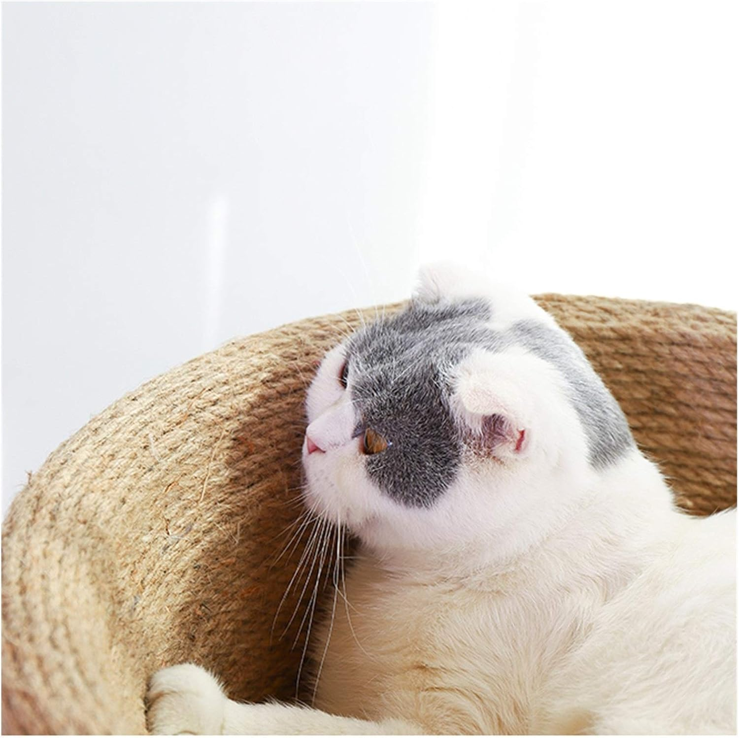 Cat Scratching Post, Natural Bowl Shaped with Perch Cat Tree, Durable Cat Scratcher Pole with Sisal Rope (Color : Brown) image number 4