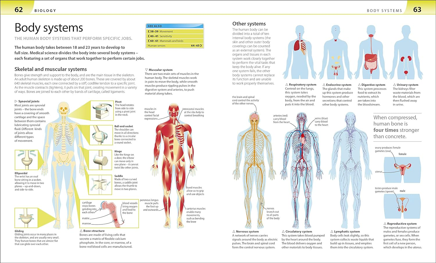 DK Help Your Kids with Science: a Unique Step-By-Step Visual Guide, Revision and Reference image number 5