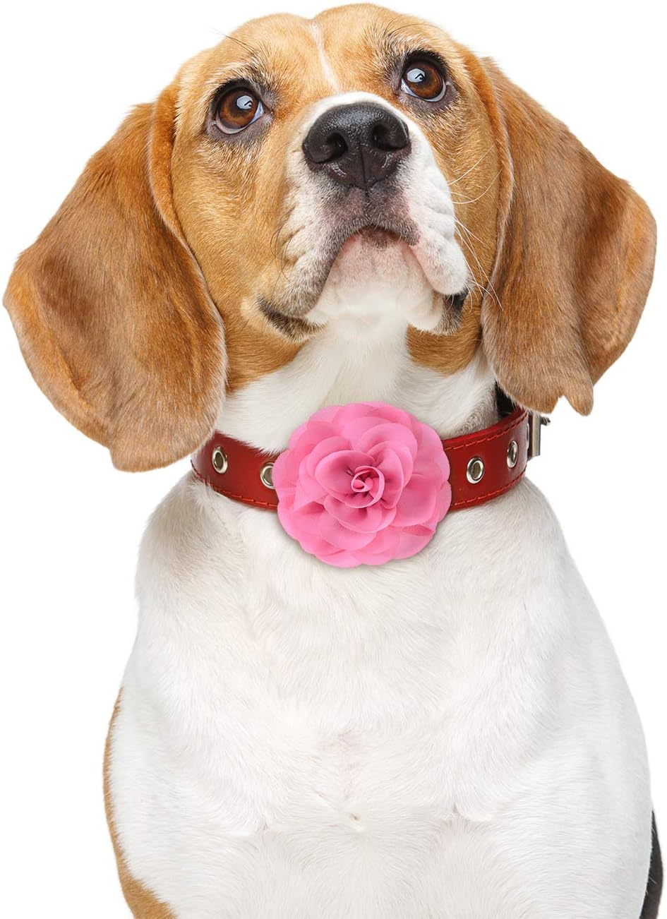 4 Pieces Dog Flower Bow Collar Multicolored Pet Bow Collar Dog Charms Flower Set for Puppy Dog Collar Cat Pet Grooming Accessories (Green, Lake Blue, Light Purple, Pink) image number 4