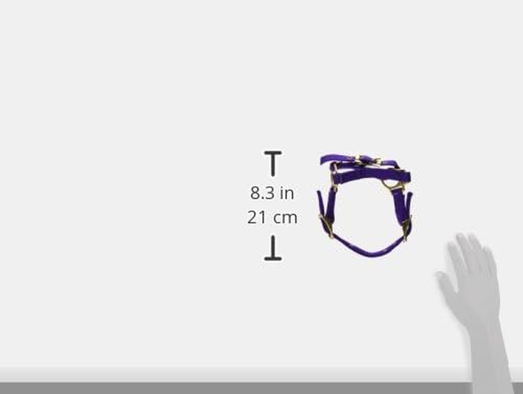 Hamilton 3/4" Sheep Halter with Adjustable Chin Strap, Purple image number 1