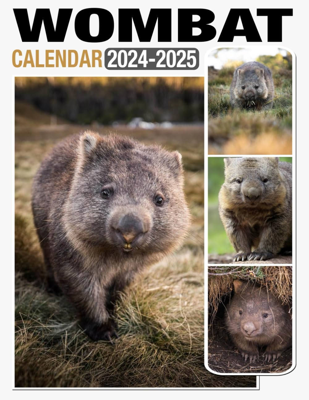 Wombat Calendar 2024 - 2025: Monthly Planner Jan 2024 to Dec 2025, Thick & Sturdy Paper, Unruled Blocks, Eco Friendly, Great Gifts for Beloved Fan