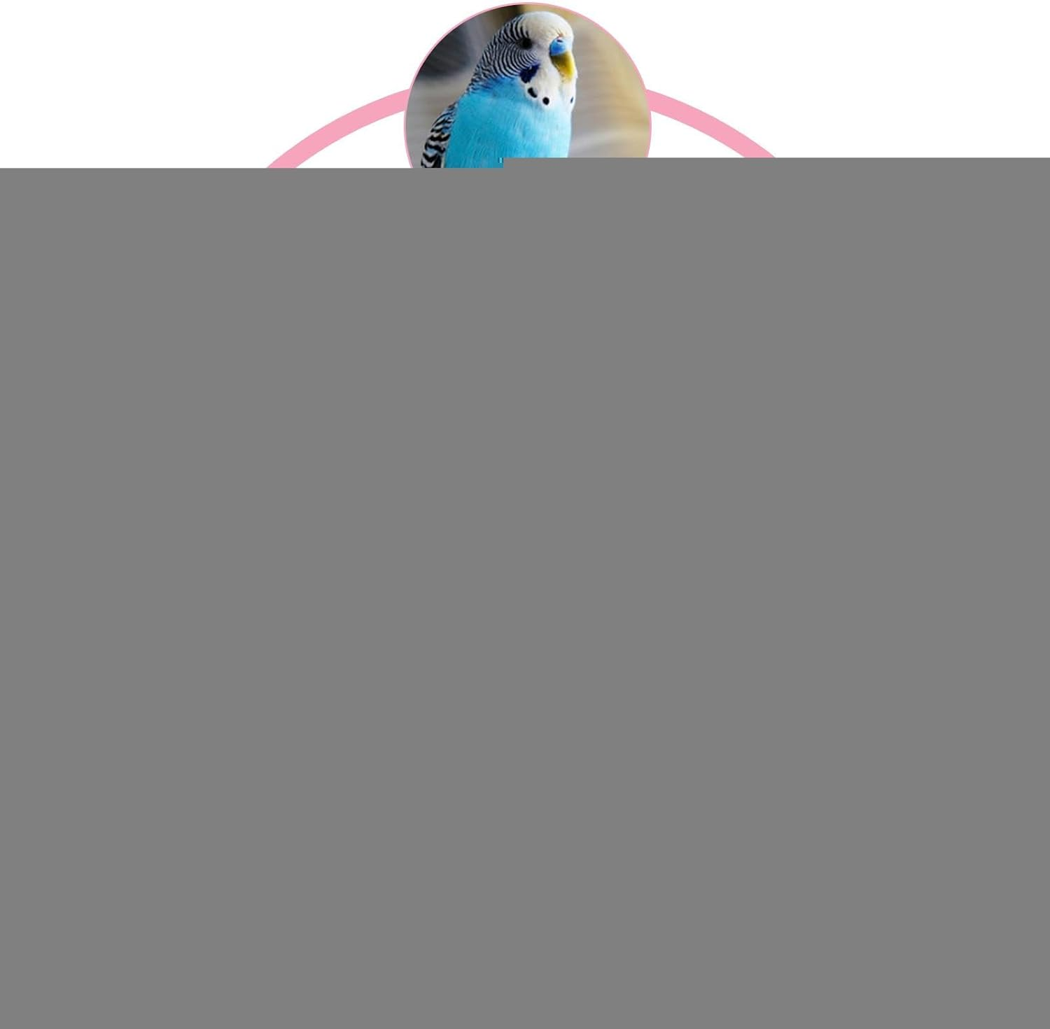 Bird Clothes for Parrots, Bird Coat, Parrot Clothes for Outdoor Winter, Reusable Cosplay Photo Prop, Bird Clothing, Washable Small Animal Clothing for Budgies, Nymphs