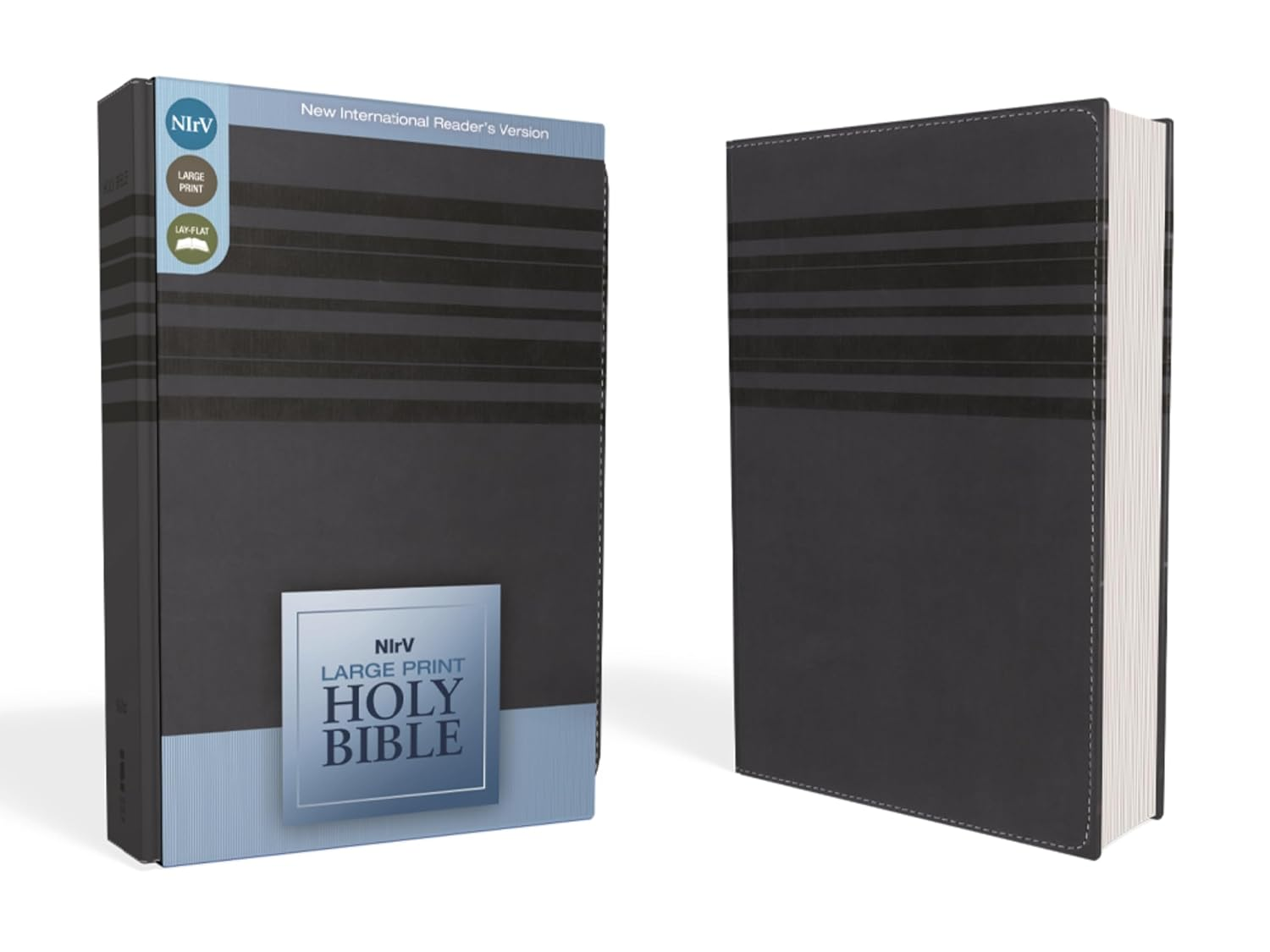 Large Print Bible-Nirv image number 6