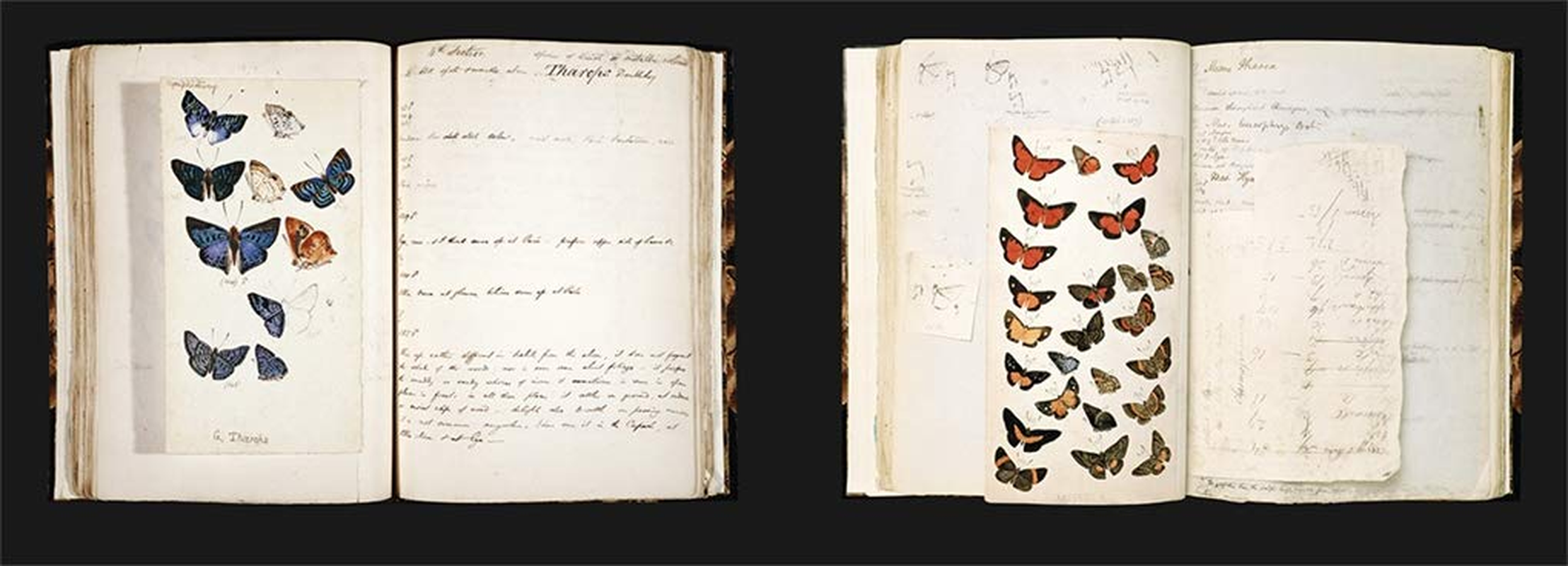 Explorers' Sketchbooks:The Art of Discovery & Adventure image number 1