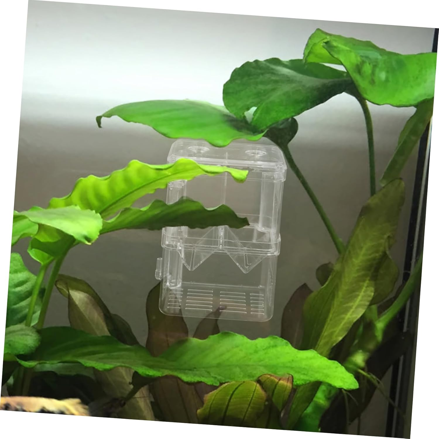 EXHUMKY Fish Breeding Box Durable Isolation Tank with Suction Cups for Shrimp Fish Hatchery Injured Care Multi Purpose Aquarium Incubator for Small Aquatic Pets image number 1