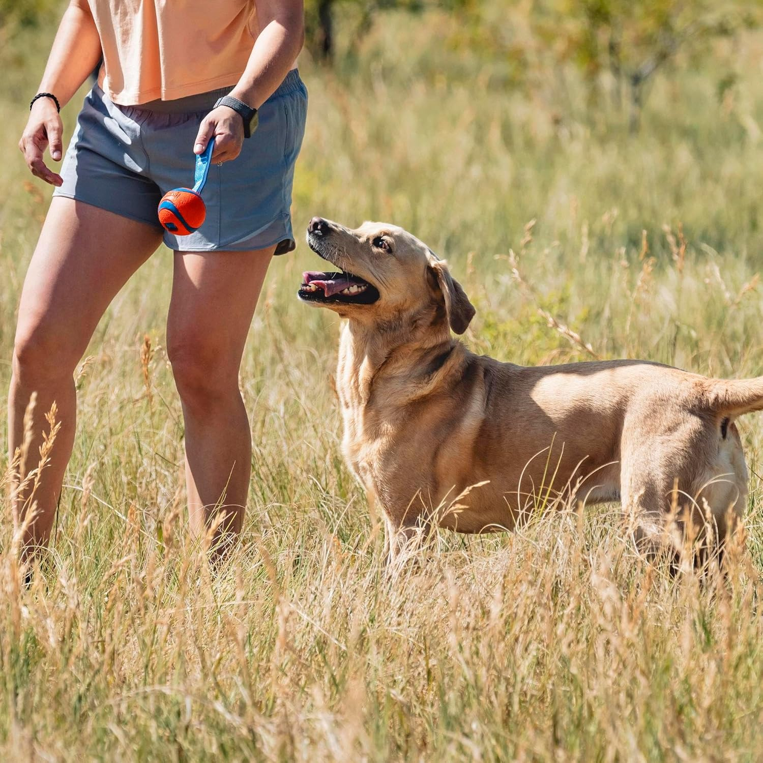 Chuckit! 231201 Ultra Tug, Medium, Orange/Blue image number 3