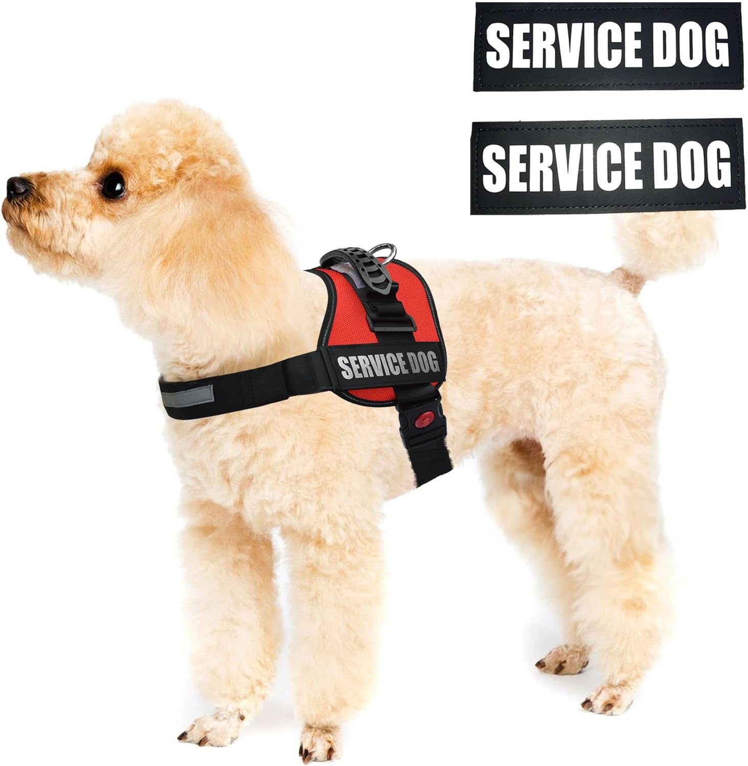 ALBCORP Service Dog Vest Harness &ndash; Reflective, No-Pull Harness with Handle & Comfy Mesh Padding &ndash; Sizes XXS-XL for Puppies, Small & Large Dogs &ndash; 2 Removable Service Patches Included(Xxs, Red) image number 5