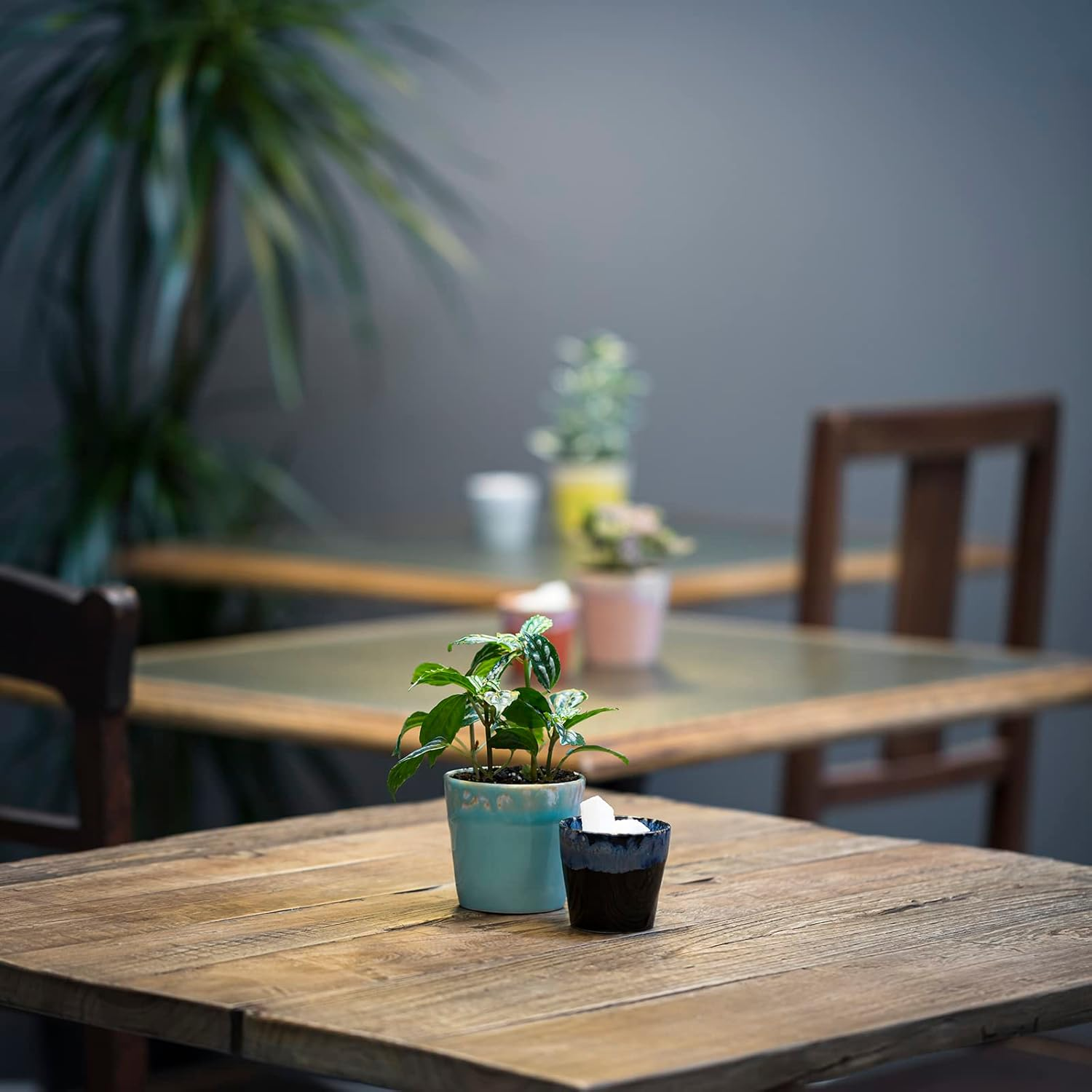 Costa Nova LSC081AQ Free Cup, M, Coffee, Approx. 7.4 Fl Oz (210 Ml), Grespresso, Aqua, Light Blue, Dishwasher Safe, Microwave Safe image number 6