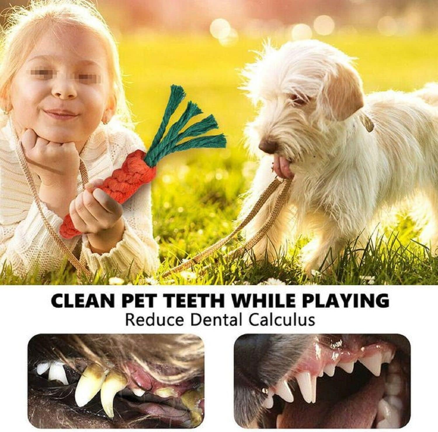 EZONEDEAL 10PC Dog Rope Toys Puppy Braided Rope Toys Set Pet Dog Teeth Cleaning Gift Chew Durable Interactive Cotton Toys Dental Health for Small Dog Playing image number 4