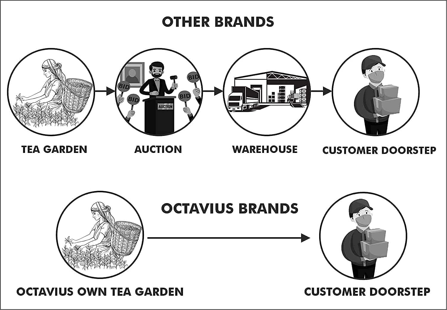 Octavius Assorted Black Tea Sampler Gift Set &ndash; 50 Premium Tea Bags | 3 Classic Flavours | Darjeeling, English Breakfast & Masala Chai | Gourmet Tea Gift Box for Tea Lovers image number 3