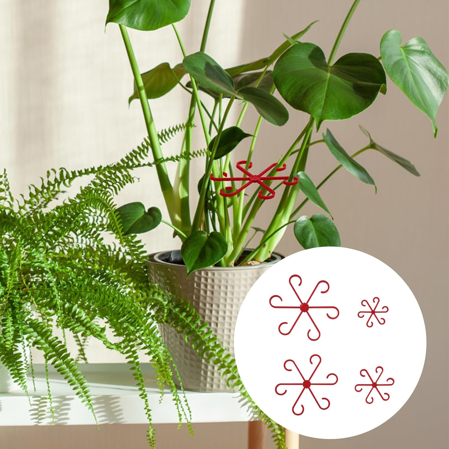 4Pcs Climbing Houseplant Stem Supports, Plastic Plant Climbers Stem Holders Reusable Flower Plant Stakes Trellis Stem Hook Growth Accessories for Plant (Red) image number 3