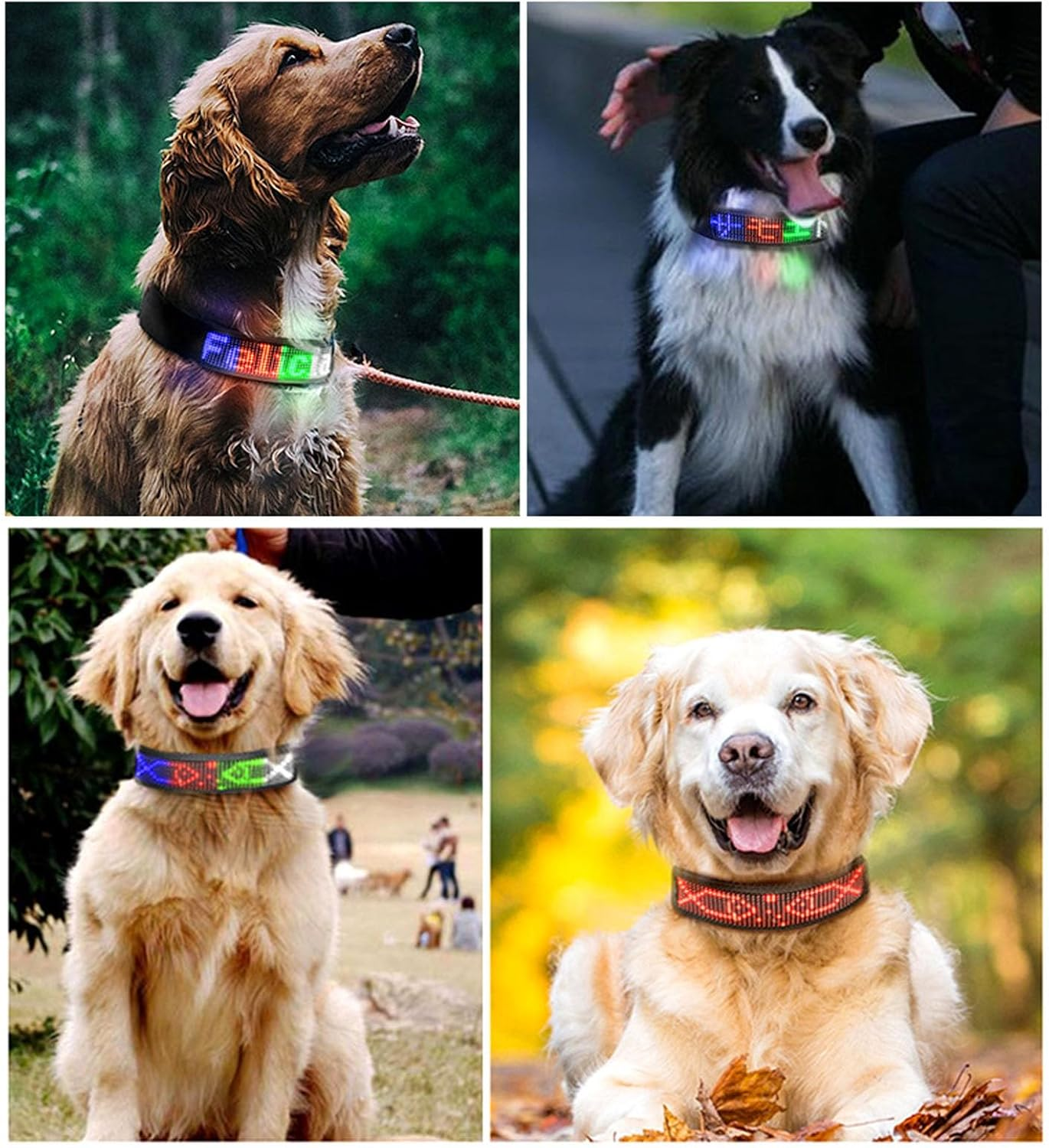 Programmable LED Collar with Connection, Rechargeable, Stylish Design, High Visibility Compatible with for Ios for Android, App Programmable (Red) image number 4