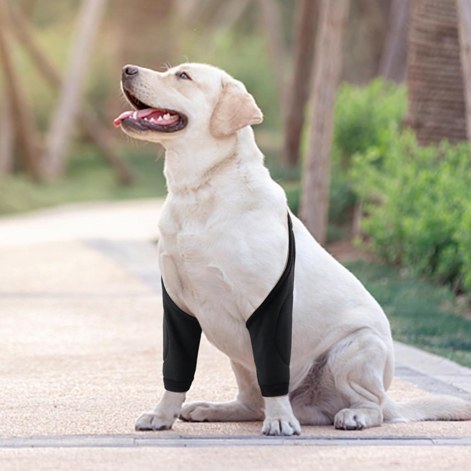 Dog Elbow Protector for Front Leg Calluses, Dog Joint Recovery Sleeve for Prevent Licking, Adjustable Dog Elbow Pads Dog Leg Wound Care, Dog Knee Brace Protector Pads for Canine Sprain Arthritis, L image number 5