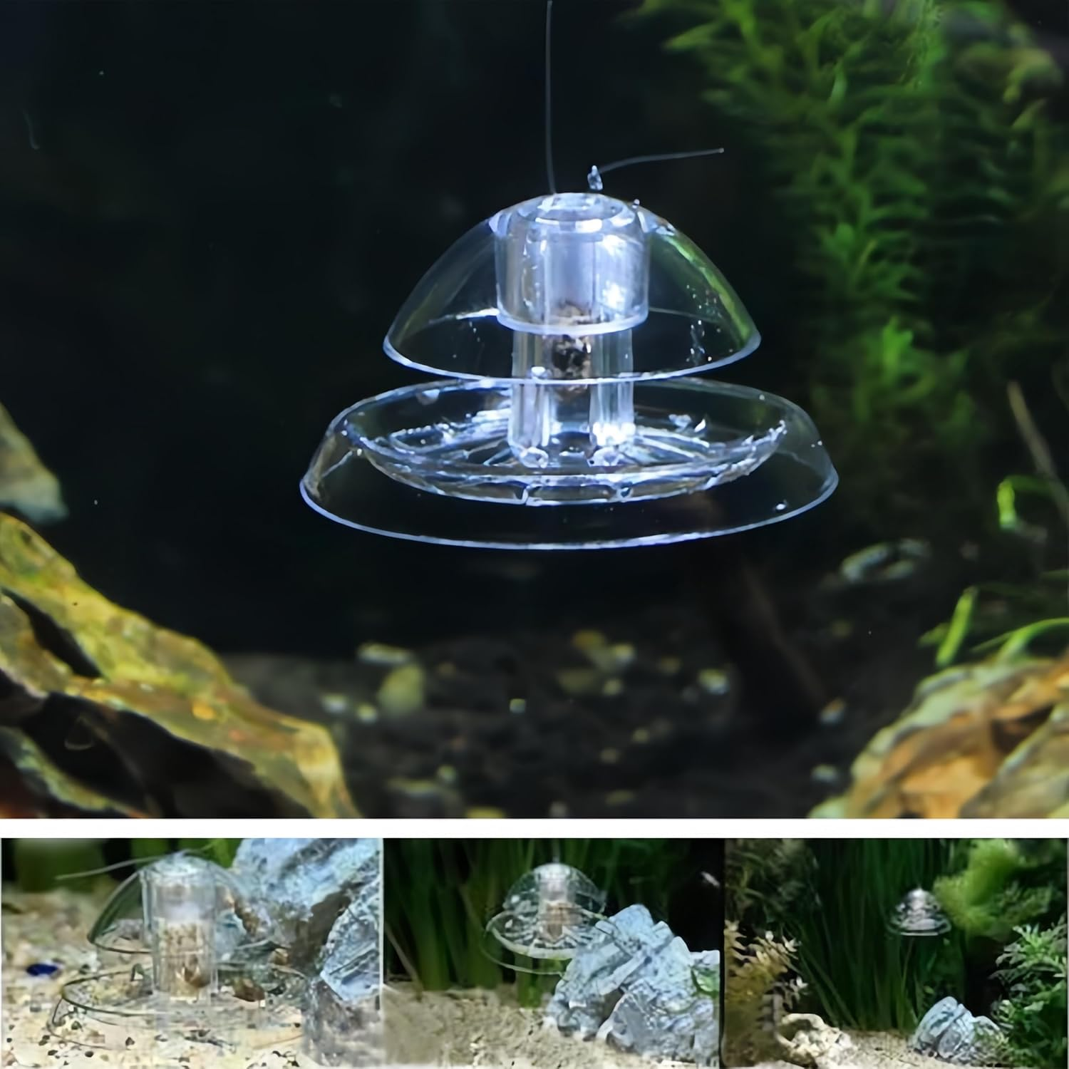 Transparent Snail Catcher for Fish Tank, 2Pcs Aquarium Snail Trap, Trap for Tiny Snails, Use for Freshwater Aquariums (Transparent) image number 3