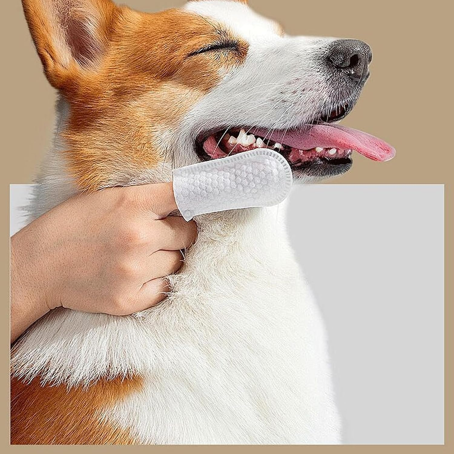 50 Counts Pet Ear Wipes,Ear Cleaner Finger Wipes for Cats and Dogs,Soft & Easy Otic Cleaning Pads,Grooming Kit Care，Soothing Cleansing，Reduce Dirt Wax Build up Easy to Use，No-Rinse Dog Finger Wipes image number 1