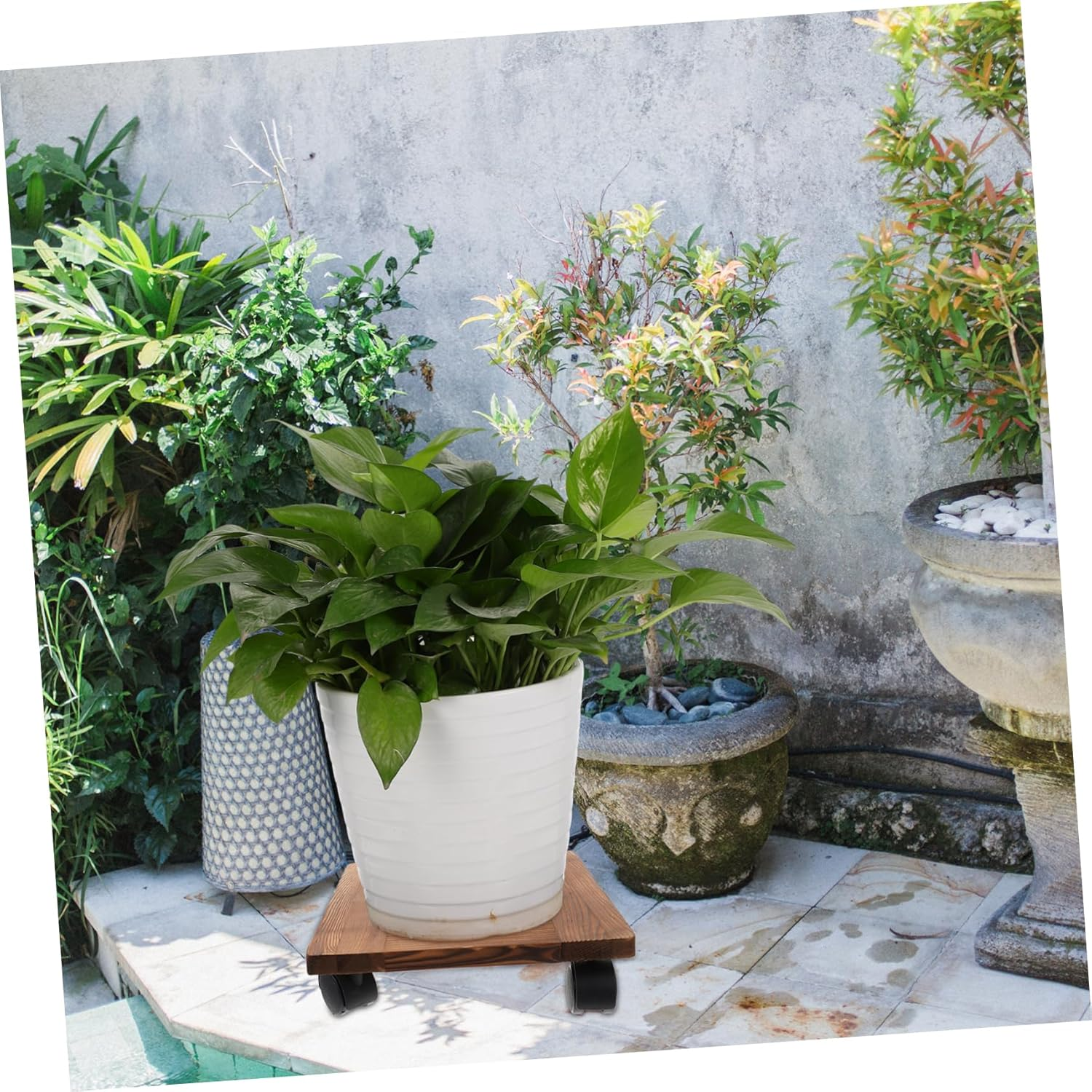 Solid Wood Movable Flowerpot Holder Tray with 4 Reinforced Wheels and Brake 30X30Cm, Plant Pot Base Caddy for Indoor and Outdoor Gardening, Sturdy Thickened Plant Stand with Universal Casters
