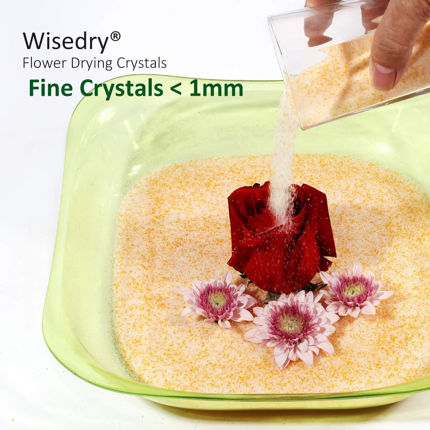 Wisedry Silicagel 2 LBS (0.98Kg) Silica Gel for Drying Flowers, Fine Crystals, Desiccant, Reusable Flower Repellent - Colour Display image number 5