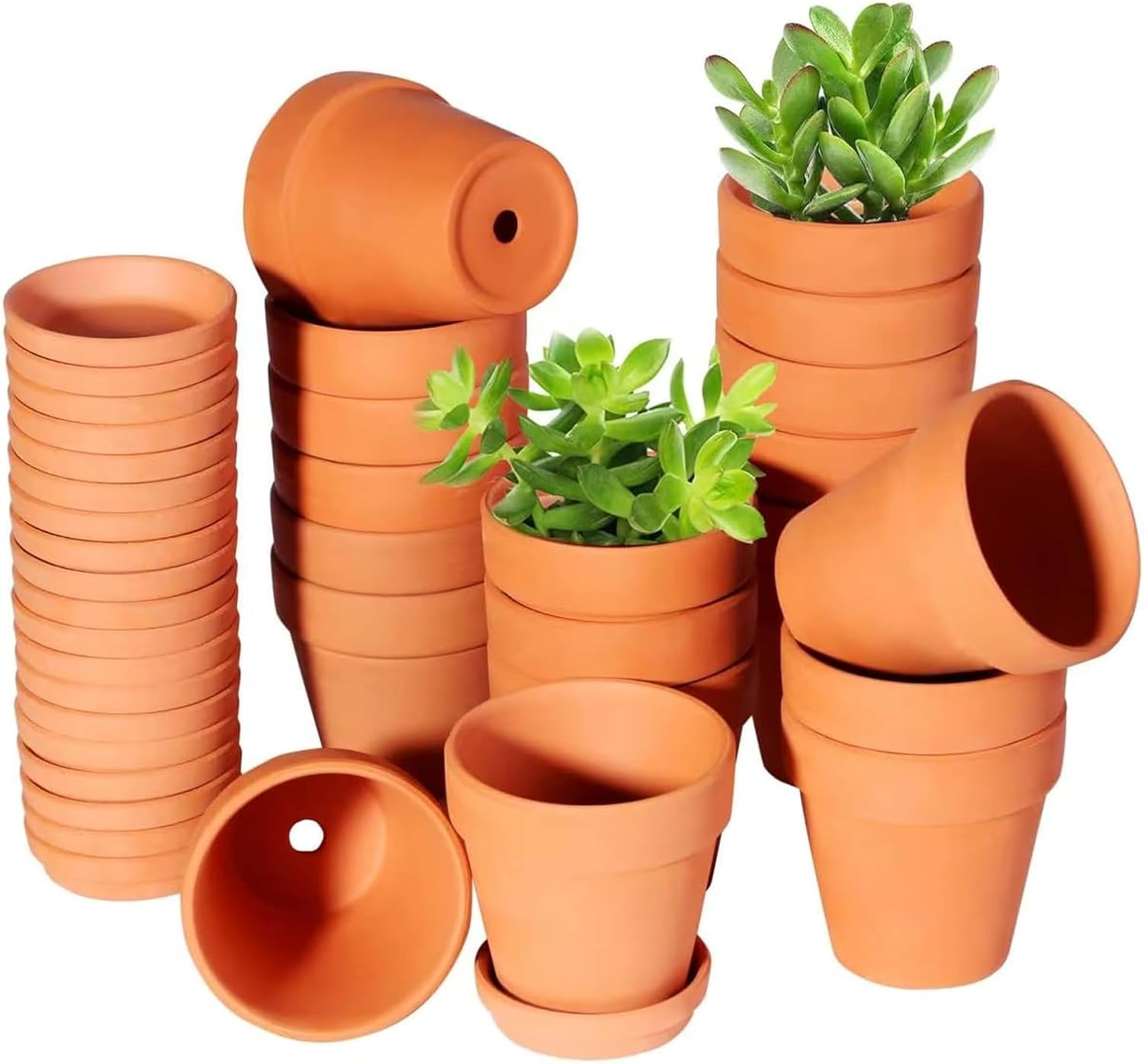 36 Pcs Mini Terracotta Pots, 1.2 Inch Clay Planters with Drainage Hole for Succulents, Small Nursery Containers for Home Garden Office Desk Decor, Crafts for Kids & Adults image number 4