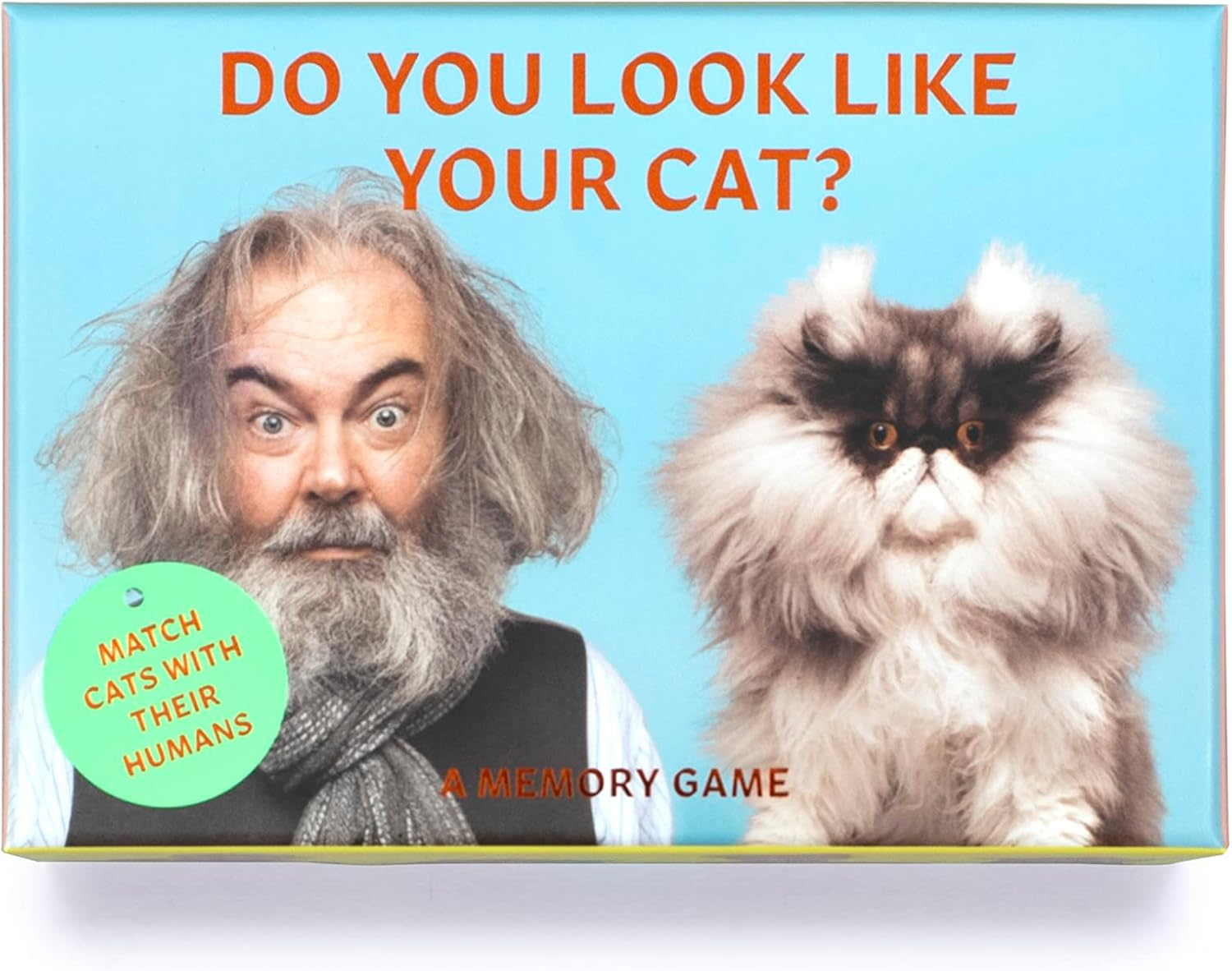 Do You Look like Your Cat?: Match Cats with Their Humans: a Memory Game