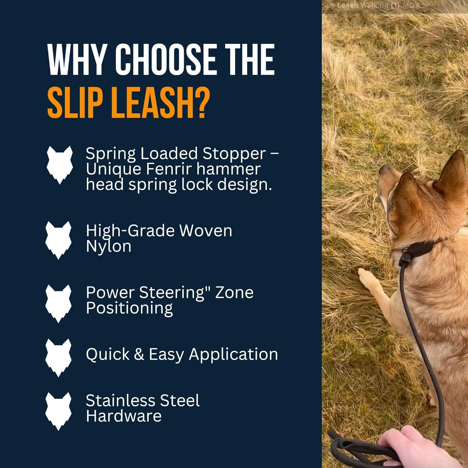 Fenrir Slip Leash 1.4M Professional Dog Training Lead to Stop Pulling, Perfect for Walks, Easy to Use, Spring Loaded Stopper, Light Weight and Durable image number 1