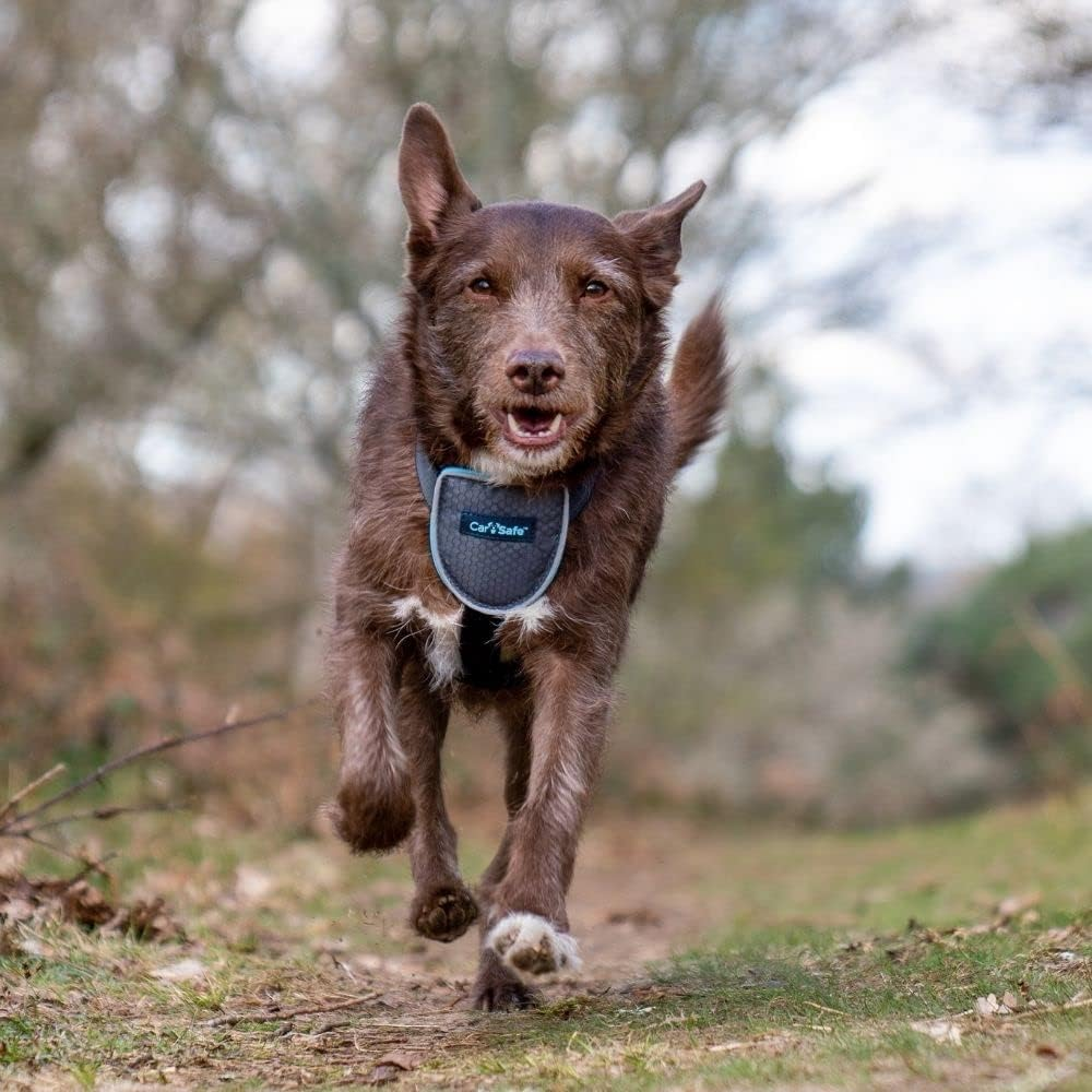 Carsafe Dog Travel Car Harness - from the Makers of Halti. Safely Secure Your Dog in the Car, Ensures Road Laws and Insurance Terms When Travelling with Your Pet, for Toy, Small, Medium and Large Dogs image number 1