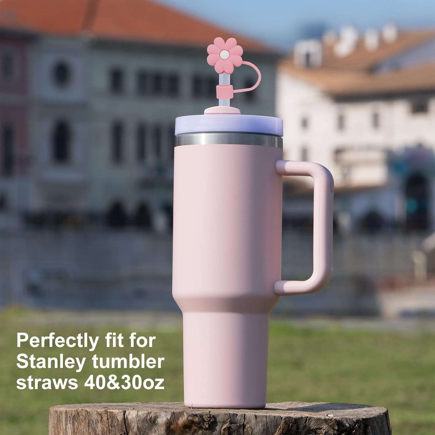 6PCS Cup Accessories Set for Stanley Cup 30Oz 40Oz Tumbler with Handle, Including Silicone Straw Topper Cover Cap and Boot, Spill Proof Stopper, Handle Charm, Initials Sticker(Pink) (Pink R) image number 3