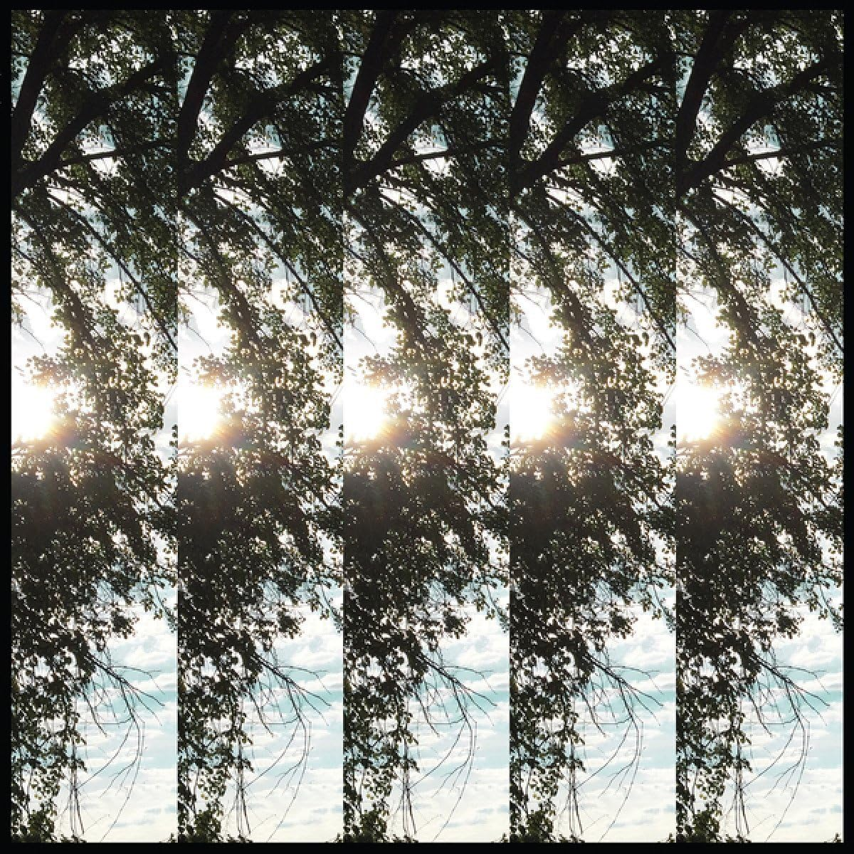 Dialectic of Ignorance (LP) image number 1