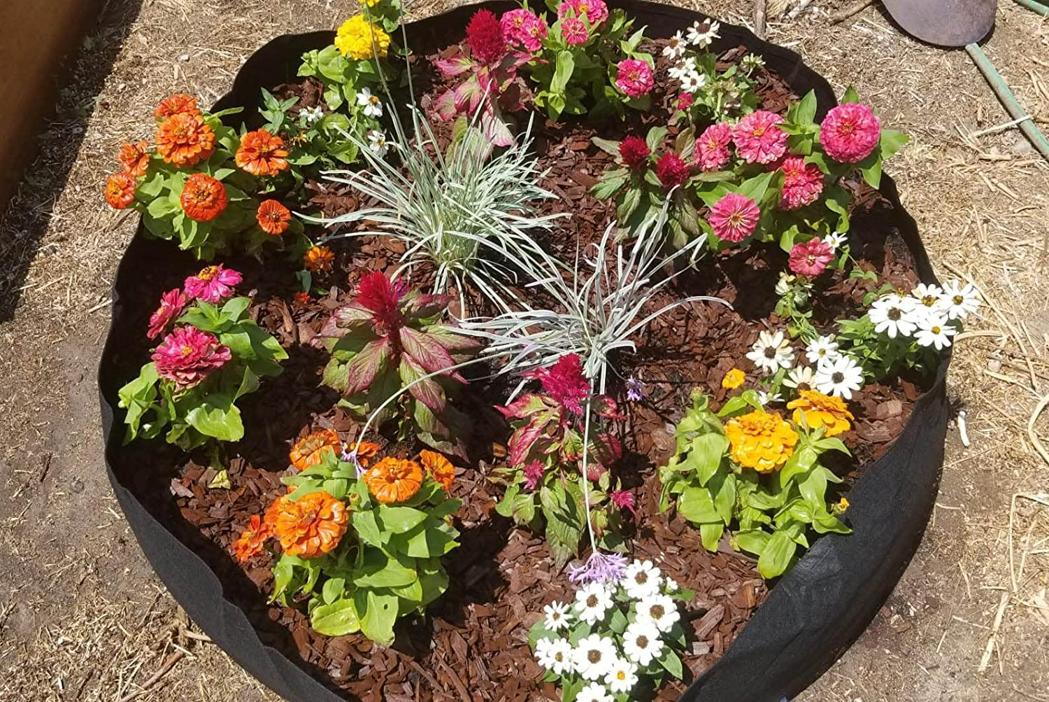 100 Gallon Plant Grow Bags, Heavy Duty Fabric Raised Garden Planting Bed round Breathable Felt Planting Container for Vegetables Flower Herbs and Plants, Gardening Outdoor