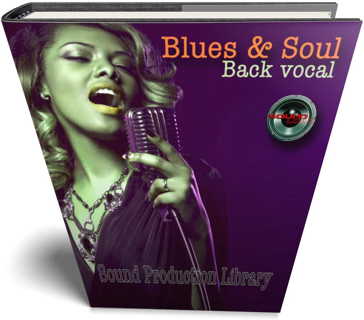 Hip-Hop Back Vocal - HUGE 24 Bit Waves Samples Production Library 10 000!!! Object on DVD image number 2