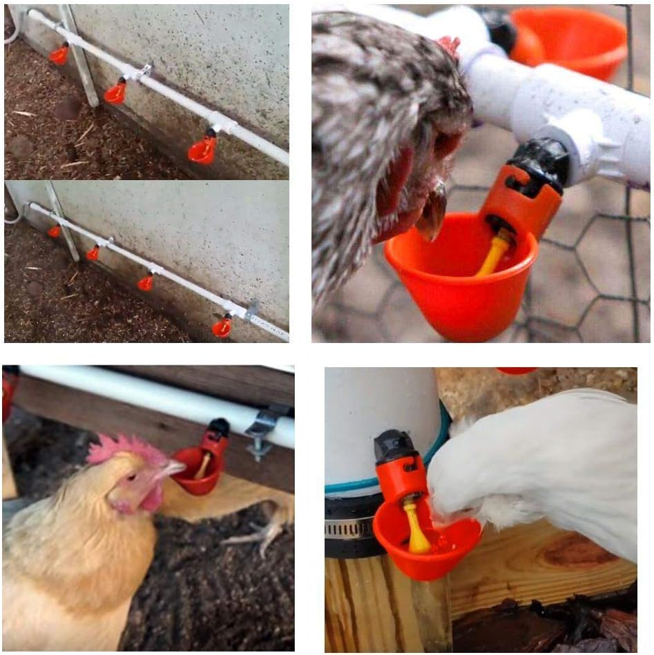 100X Cups Water Feeder Drinker Chicken Automatic Waterer Poultry Chook Bird image number 5