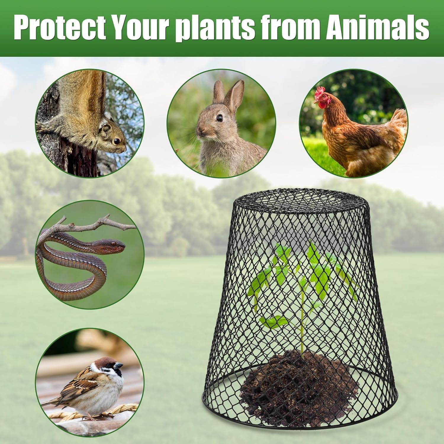 Cozioz 5 Pack Heavy Duty Chicken Wire Plant Cloche with 5 Ground Stakes &ndash; Metal Garden Netting Plant Cover to Protect from Rabbits, Chickens, Birds, and Squirrels