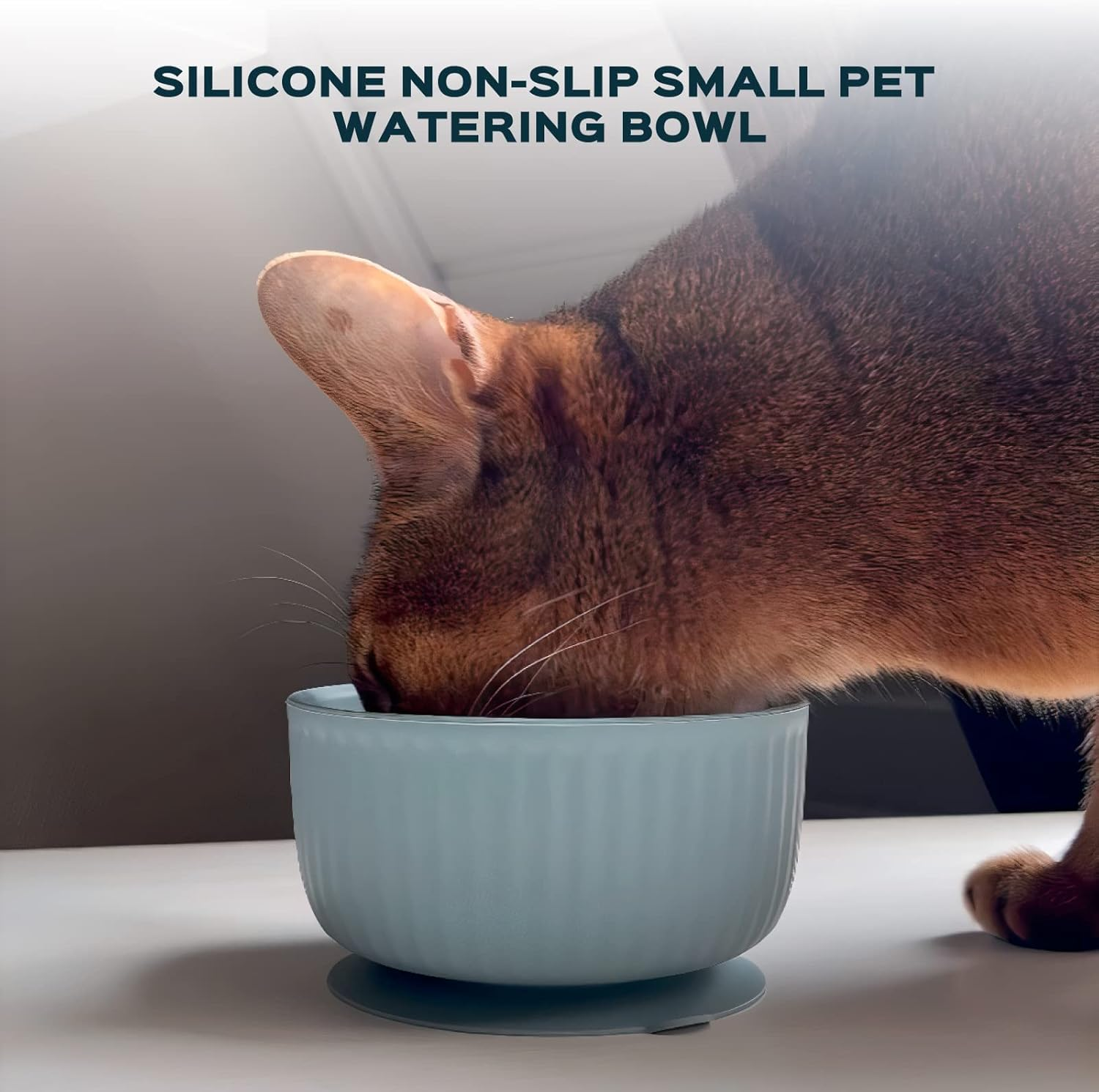 Cat Bowls with Suction Cup 13 Oz &mdash; Elevated Silicone Pet Dish with Non-Slip Bottom for Dry Food, Wet Food and Water &mdash; Silicone Water Bowl for Small Dog, Rabbit, Kittens &mdash; Microwave & Dishwasher Safe - Grafit image number 3