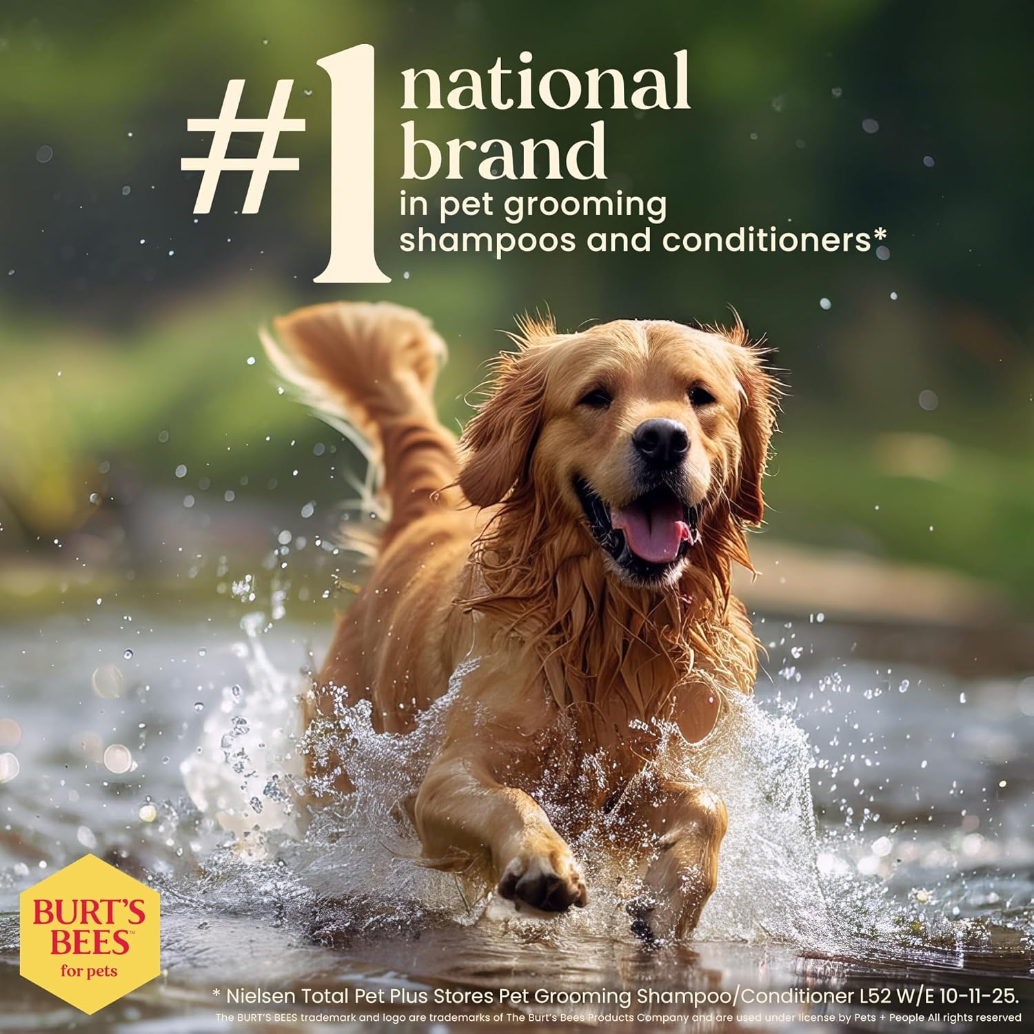 Burt'S Bees for Pets Detangling Spray for Dogs with Lemon and Linseed Oil, 99.7% Natural Origin Formulas, Waterless Canine Shampoo - Gentle Dry Cleanser for Pups 10 Oz image number 2