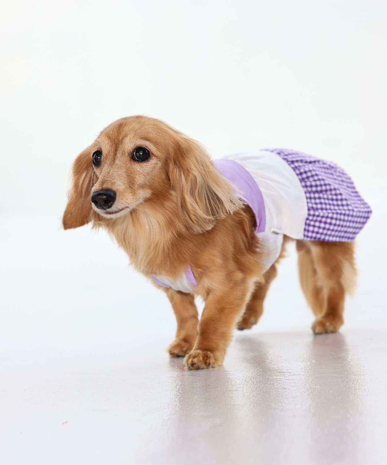 Dog Life Cool Tricolor Cami Purple Dog Large image number 2