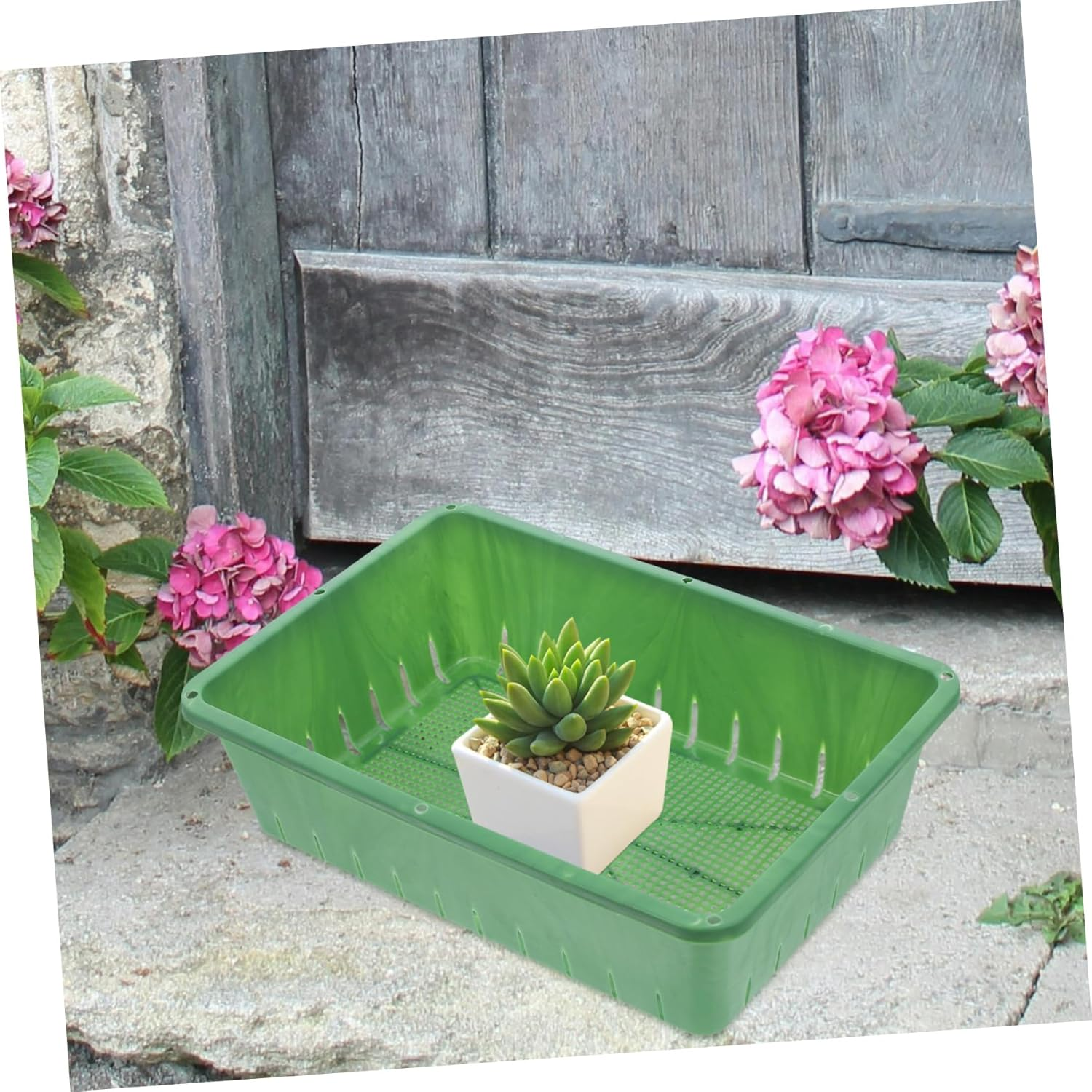 SUPVOX Seedling Starter Tray and Sprouting Growing Tray for Indoor Gardening Small 26X18X7Cm Green Plastic Germination Container 2Pcs Seedling Growing image number 4