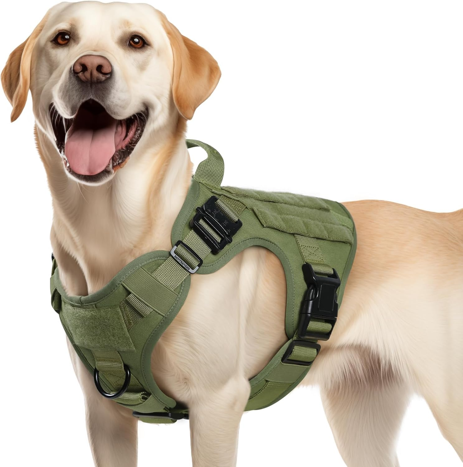 Rabbitgoo Tactical Dog Harness for Medium Dogs, Military Dog Harness with Handle, No-Pull Service Dog Vest with Molle & Loop Panels, Adjustable Dog Vest Harness for Training Hunting Walking, Green, M image number 1