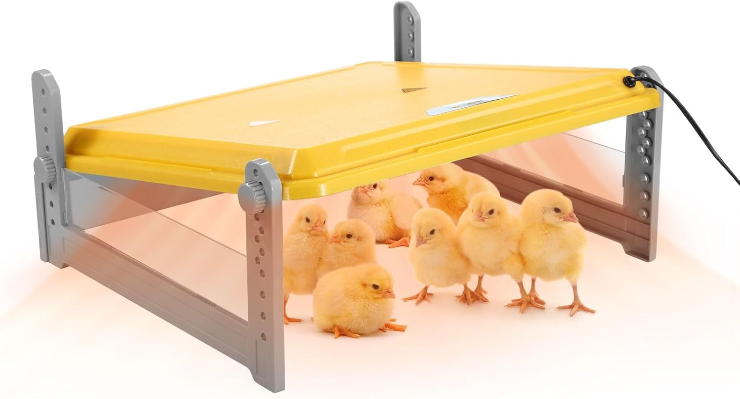Pet Scene Brooder Heater for Chicks Heating Plate Chook Heater Coop Adjustable Poultry Duck Quail Brooding Warmer for 40&ndash;50 Chicks image number 4