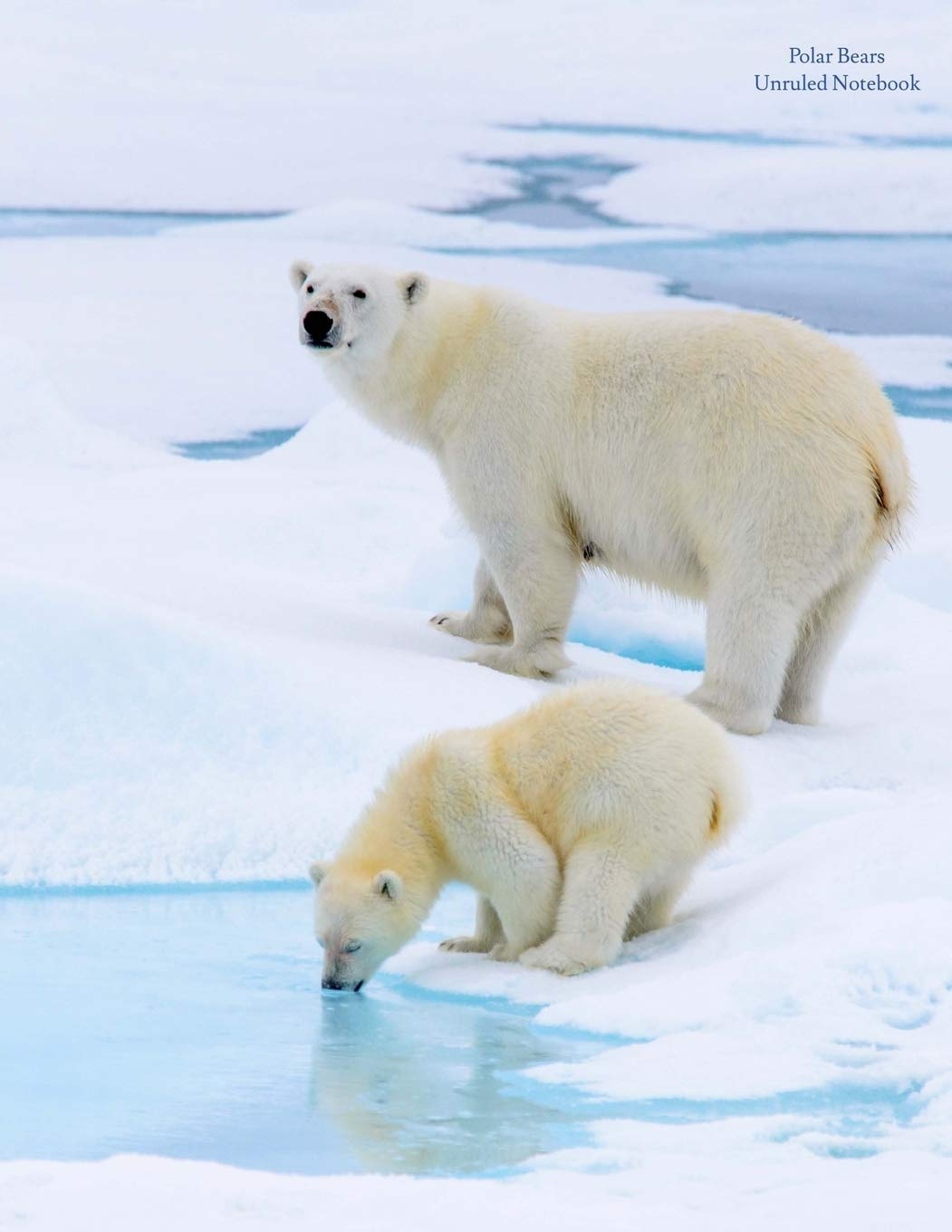 Polar Bears Unruled Notebook: Unruled, Blank Notebook. No Lines. No Page Numbers. Glossy Cover with Image on Front and Back. Full Size at 8.5 X 11 Inches. Great for Artwork or Journals. image number 1