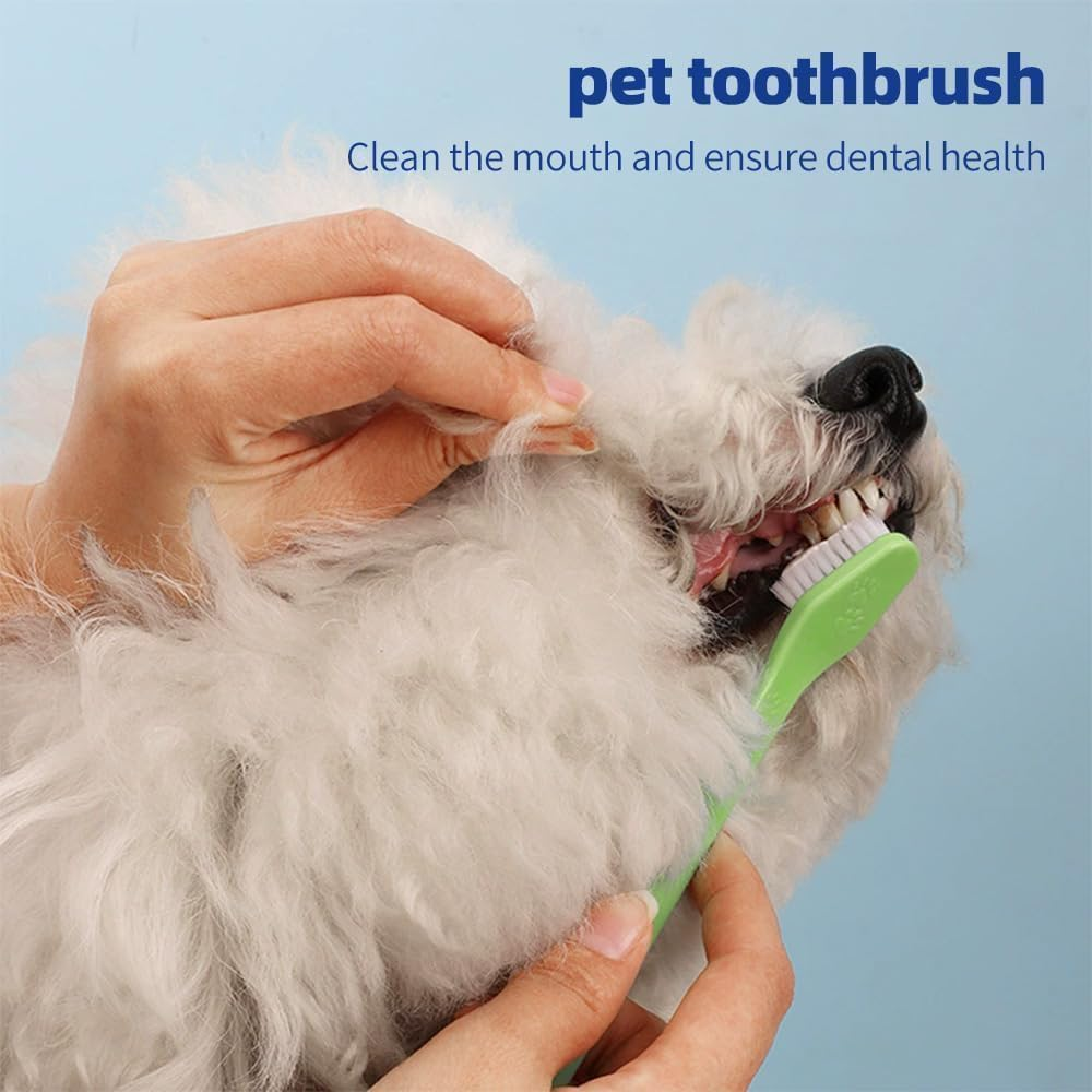 4 Pcs Dog Toothbrush,Dog Toothpaste and Brush Kit, Dog Teeth Cleaning, Pet Toothbrush, 2 Triple Head Dog Toothbrushes and 2 Long Handle Dog Toothbrushes, Toothbrush Dog for Dogs and Cats image number 2