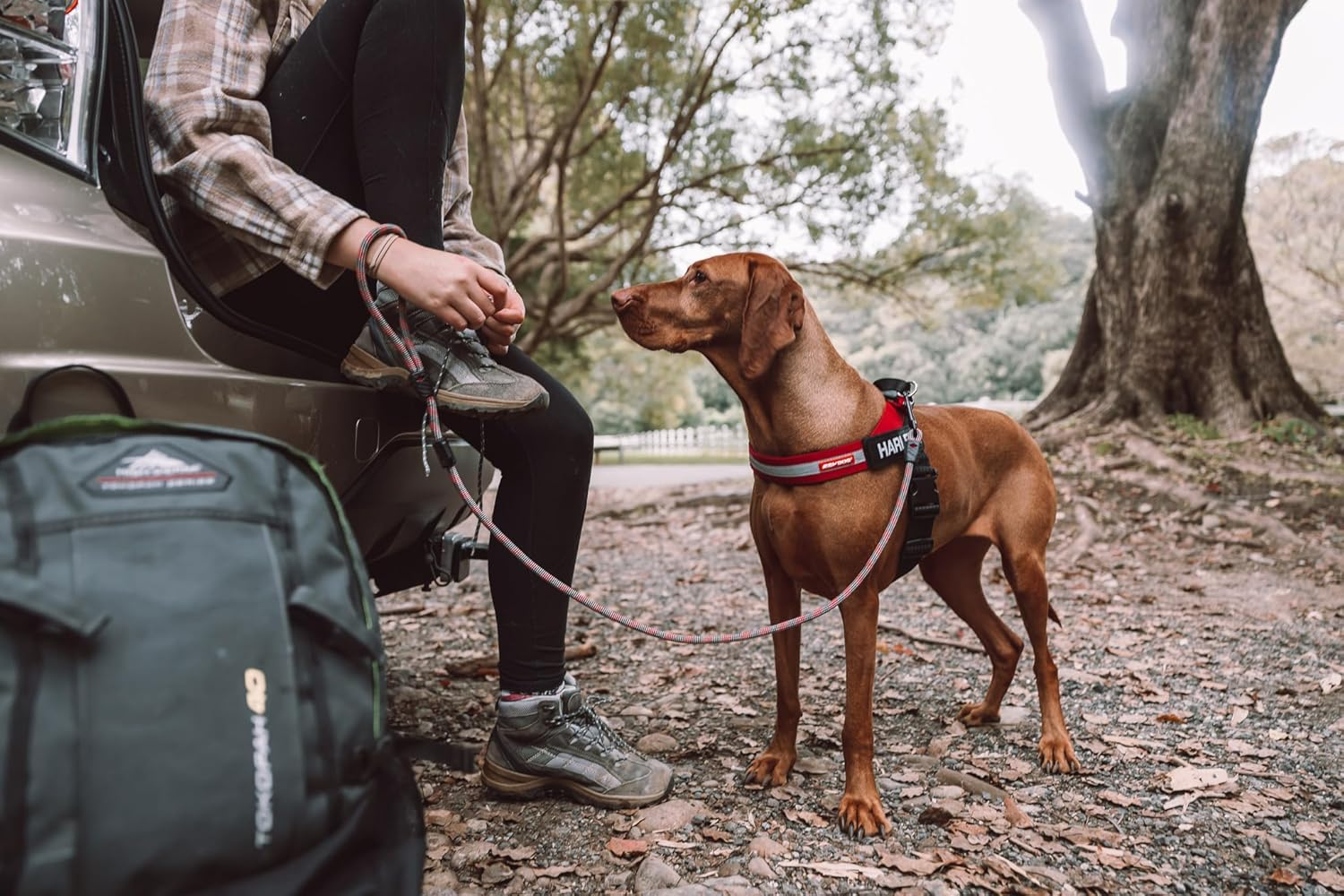 EZYDOG Summit Reed Write Dog Leash 6Mm Blue image number 1
