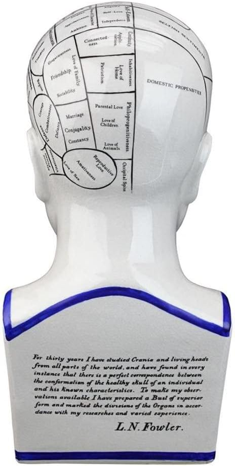 Design Toscano Inc 12H In. Porcelain Phrenology Head Statue [Kitchen] image number 6