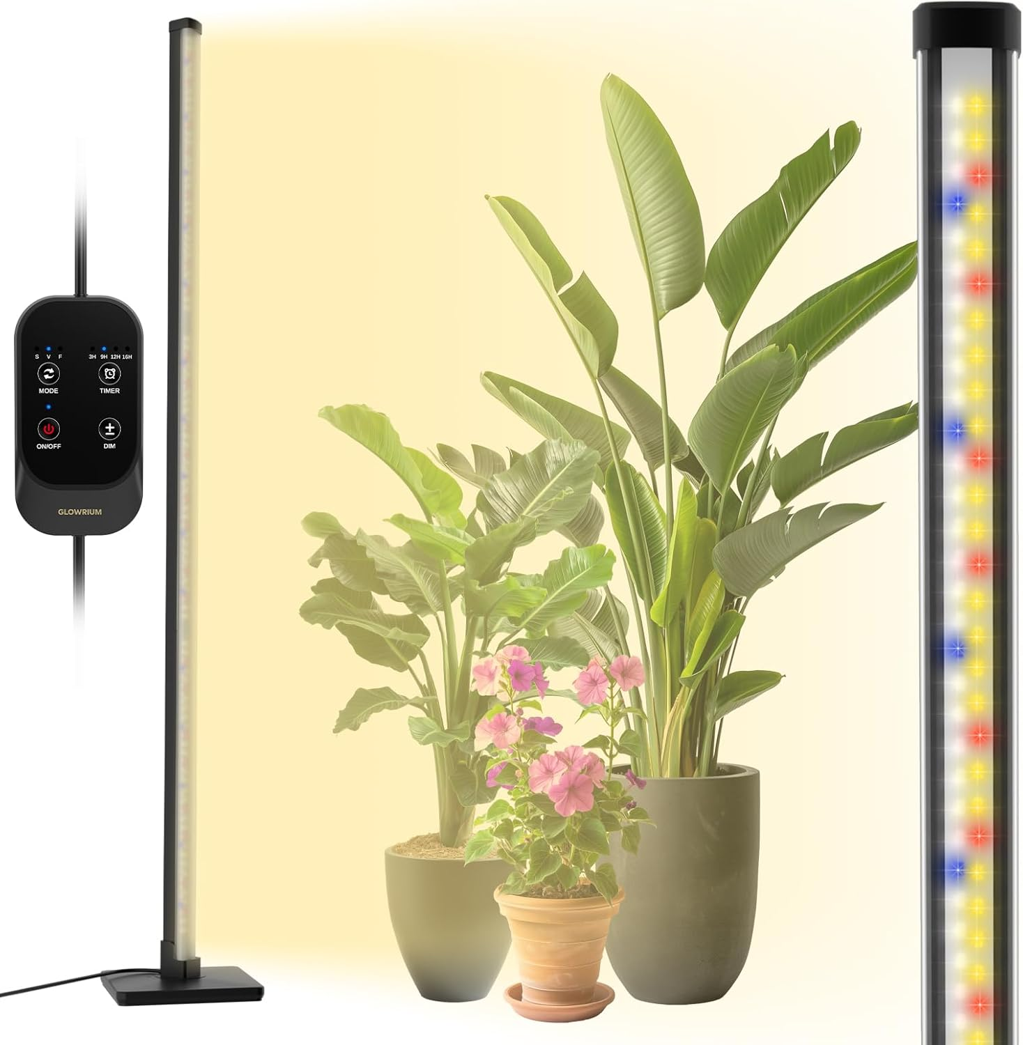 GLOWRIUM Standing Grow Light with Auto-Timer, 36W Vertical Grow Lights for Indoor Plants,3 Light Modes,268 Leds Detachable Full Spectrum Plant Lights for Wide Area Coverage in Indoor Plants (60 In)