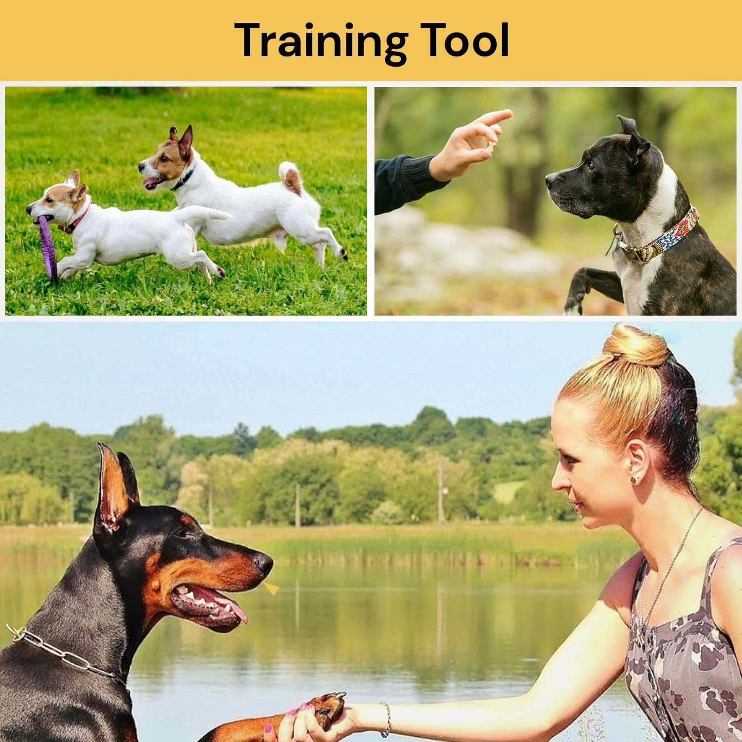 EZONEDEAL Dog Training Clicker Dog Trainer, 2 in 1 Whistle and Dog Clicker for Training Combo,Pet Behavioral Training Tools Help Guide Easy to Carry for Dogs Cats Birds Horses,Puppy (Red)