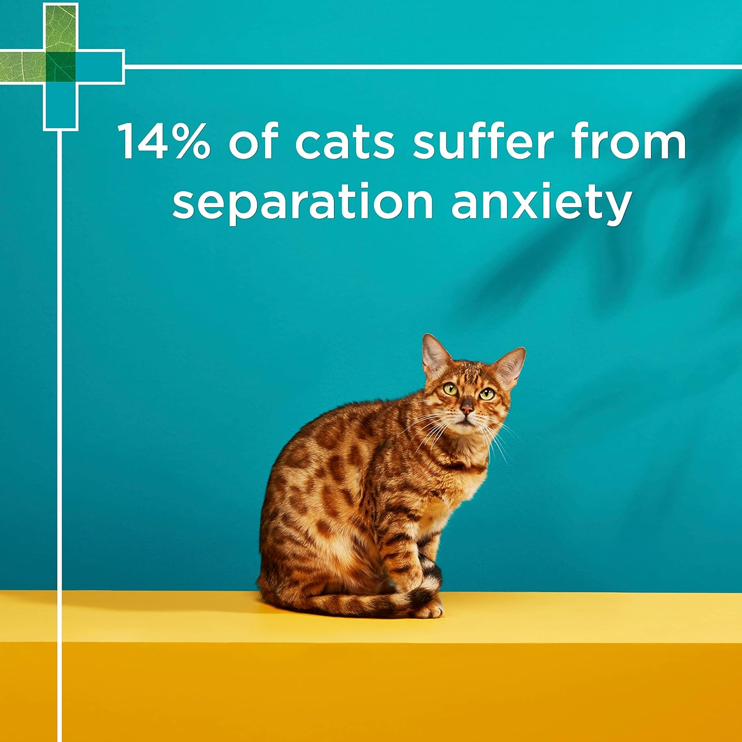 PAW by Blackmores Complete Calm Multivitamins for Cats | Assists with Reducing Feline Anxiety | 63 Chews image number 3