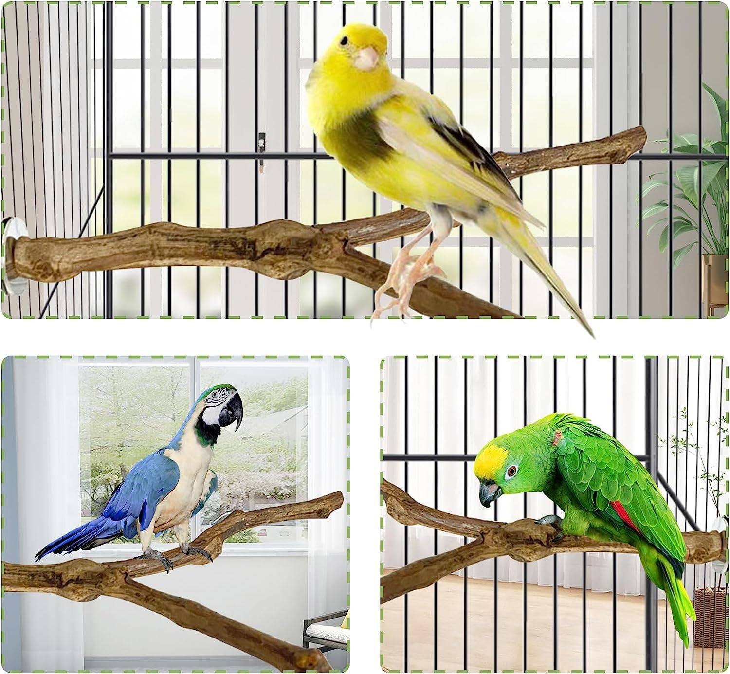Kathson Natural Parrot Perch Bird Stand Pole Wild Grape Stick Paw Grinding Fork Parakeet Climbing Standing Branches Toy Chewable Cage Accessories for Small Budgies Cockatiels Lovebirds 3PCS image number 1