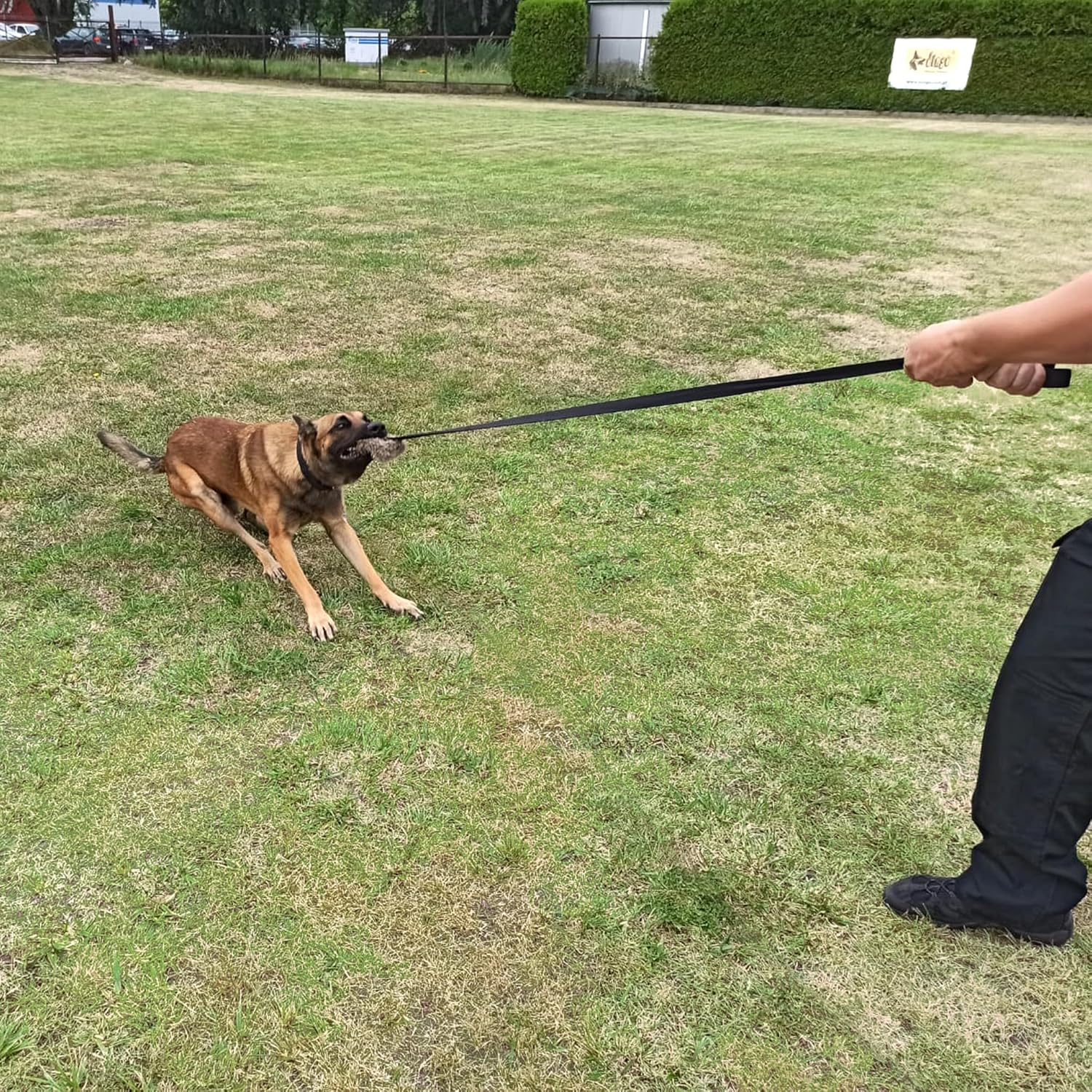 Dingo Fleece Dog Toy Artificial Fur Racer Squeaky Teaser Dog Wand 150 Cm Long Bungee Handle for Agility, Dog Training, Reward, Retrieve, Chasing, Play Black (15585)